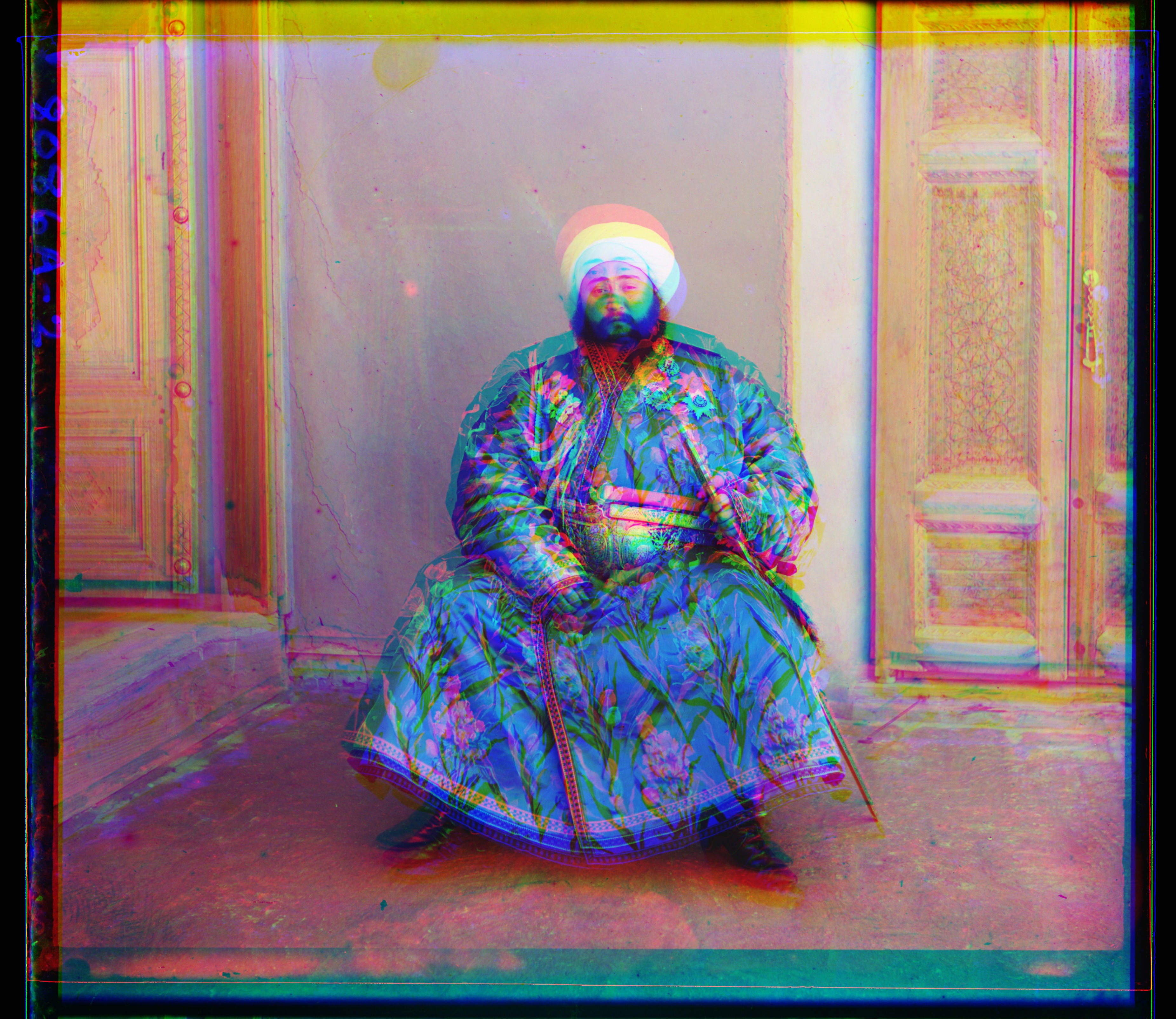 image of emir before processing