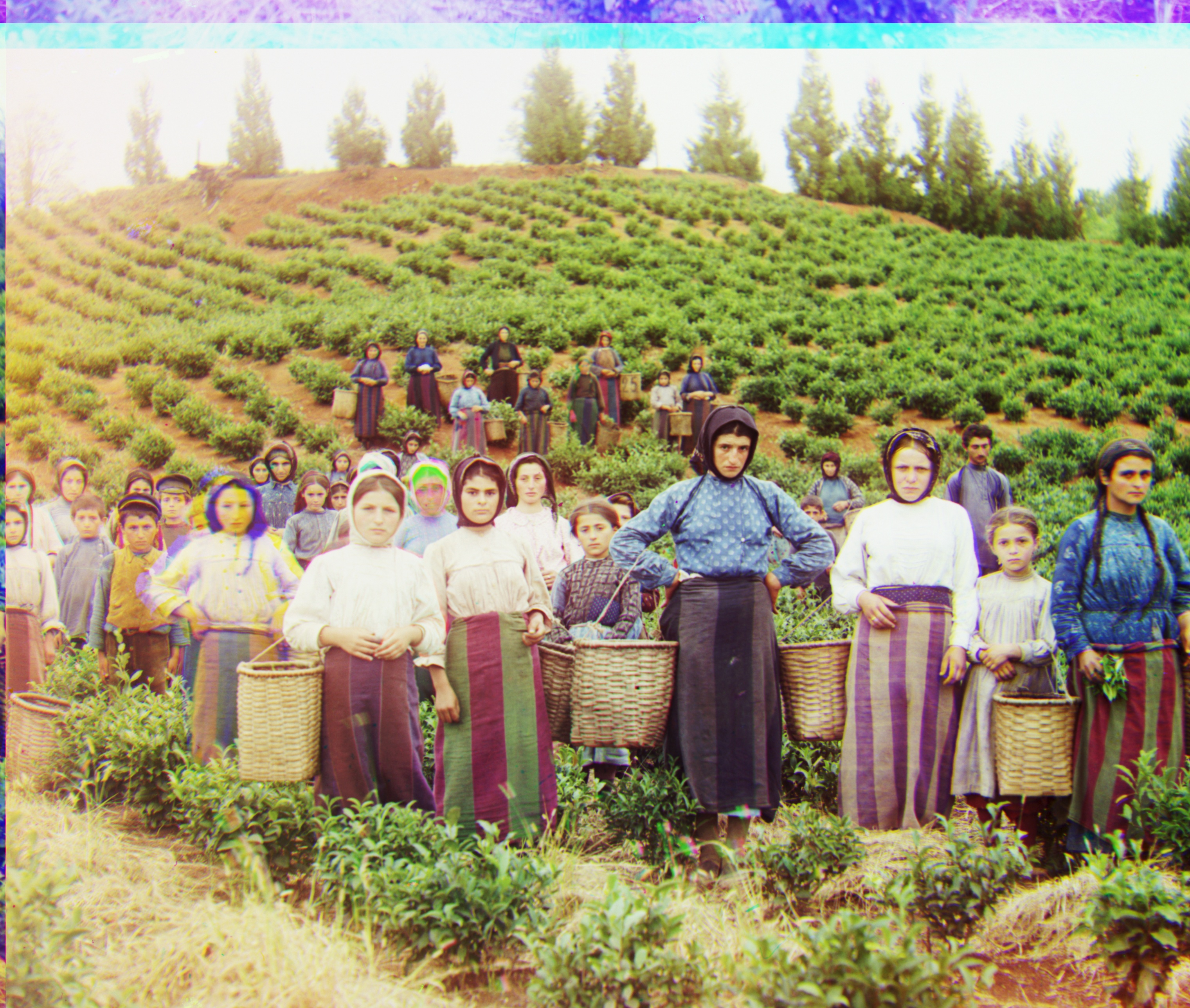 image of harvesters after processing